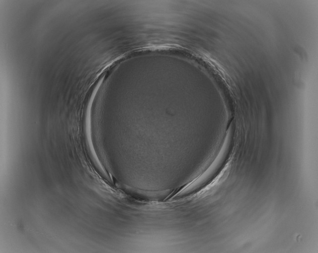 X0000111361353200907171155