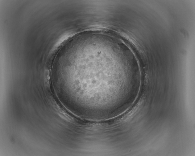 X0000111361355200907171155