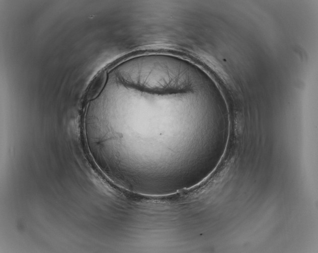 X0000111361356200907171155