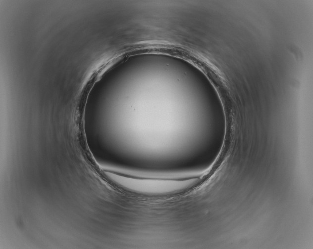 X0000111361357200907171155