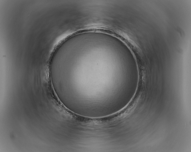 X0000111361358200907171155
