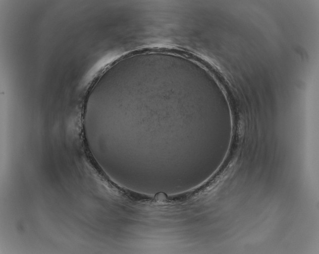 X0000111361359200907171155