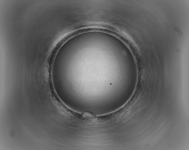 X0000111361360200907171155