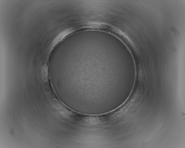 X0000111361362200907171155
