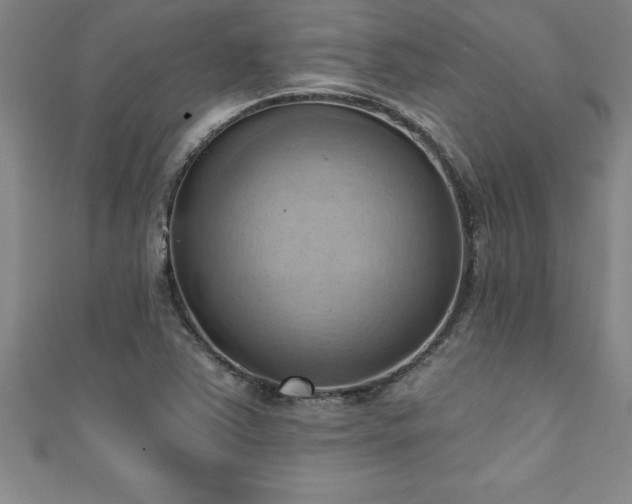 X0000111361363200907171155