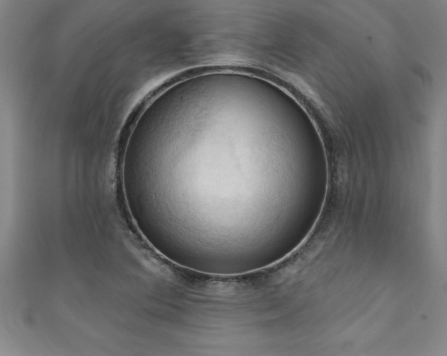 X0000111361364200907171155
