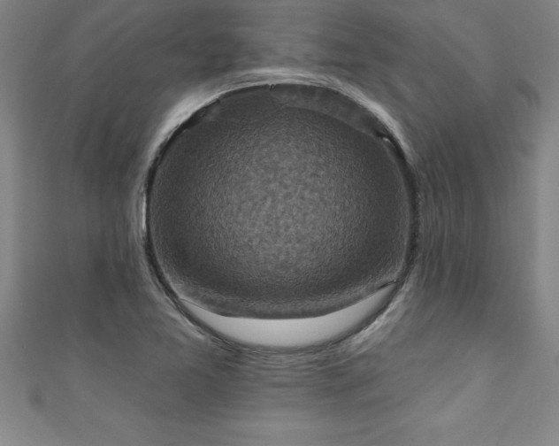 X0000111361365200907171155