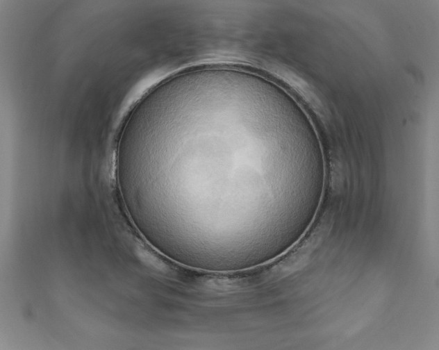 X0000111361366200907171155