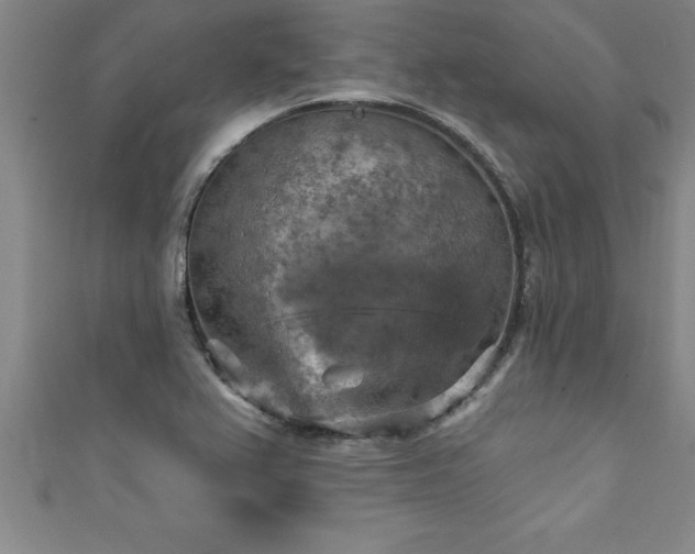 X0000111361367200907171155