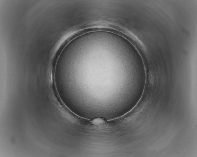 X0000111361368200907171155