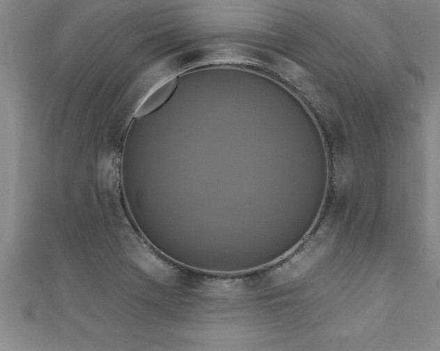 X0000111361369200907171155