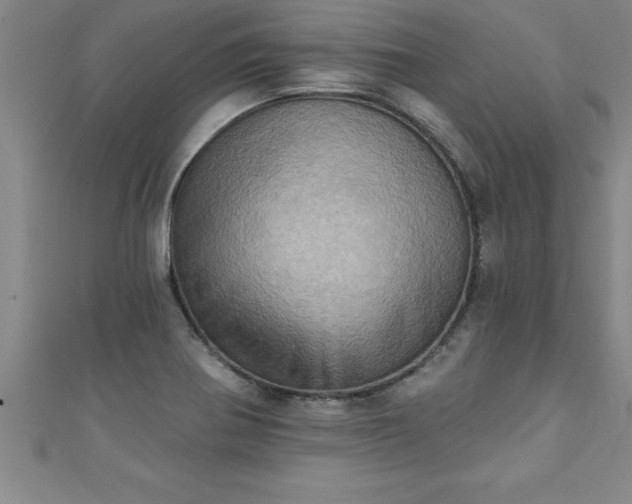 X0000111361370200907171155