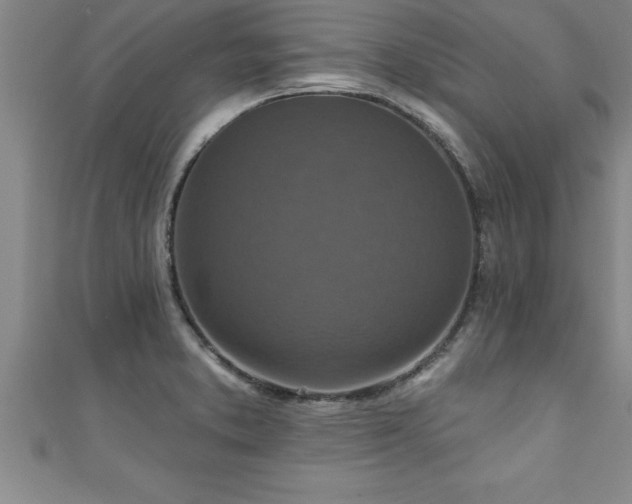 X0000111361373200907171155