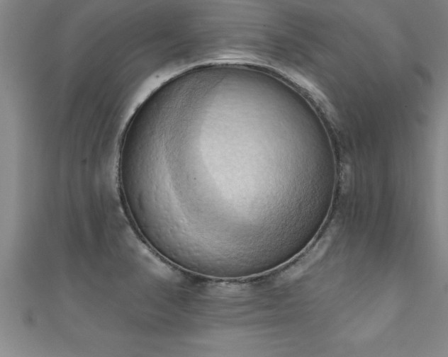 X0000111361374200907171155