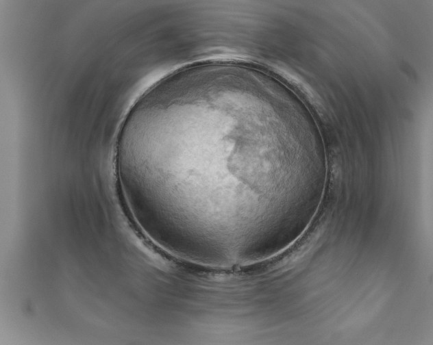 X0000111361375200907171155