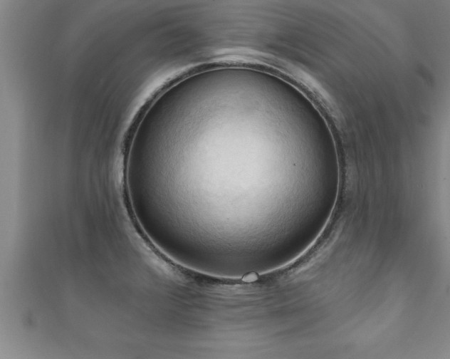 X0000111361376200907171155