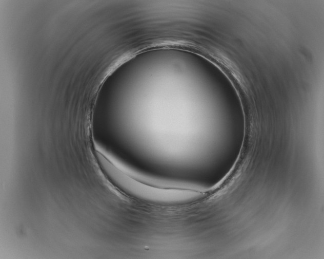 X0000111361377200907171155
