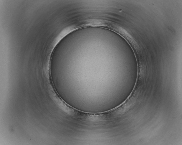 X0000111361378200907171155