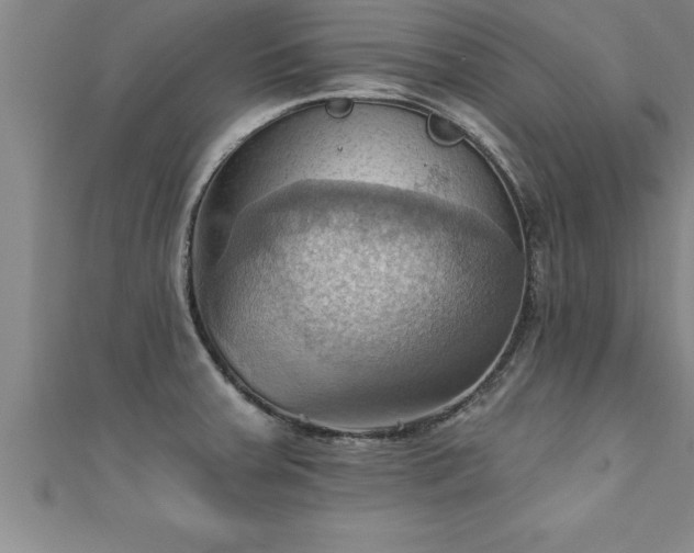 X0000111361379200907171155