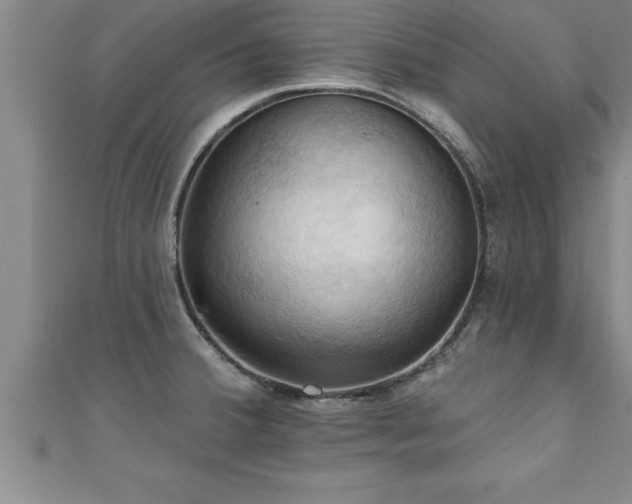 X0000111361380200907171155