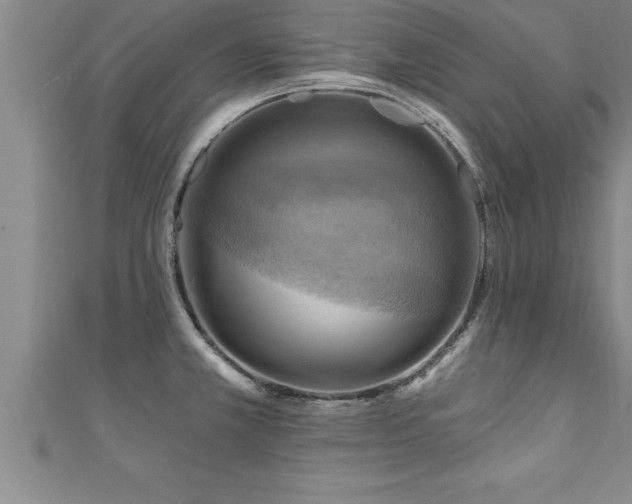 X0000111361381200907171155