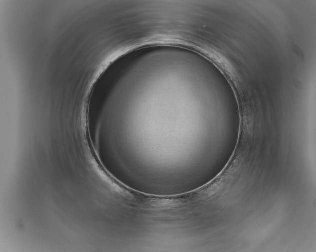 X0000111361382200907171155