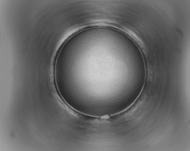 X0000111361384200907171155