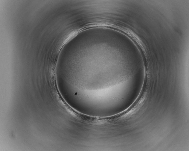 X0000111361385200907171155