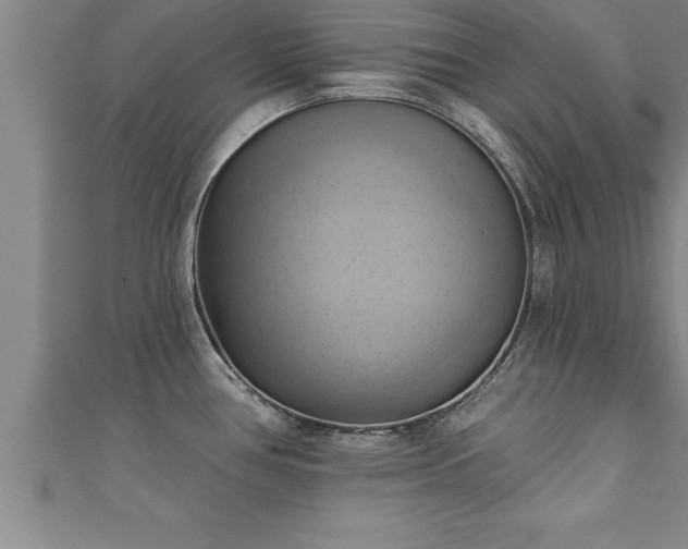 X0000111361386200907171155