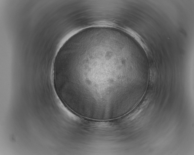 X0000111361387200907171155