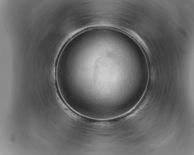 X0000111361388200907171154
