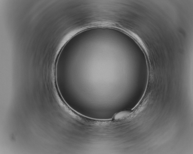 X0000111361389200907171154