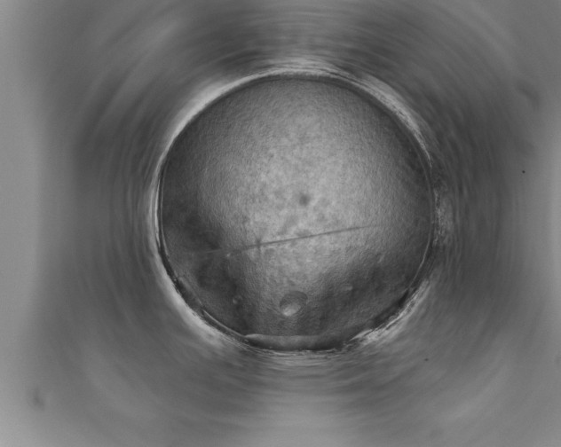 X0000111361391200907171154