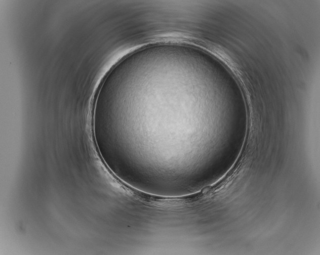 X0000111361392200907171154