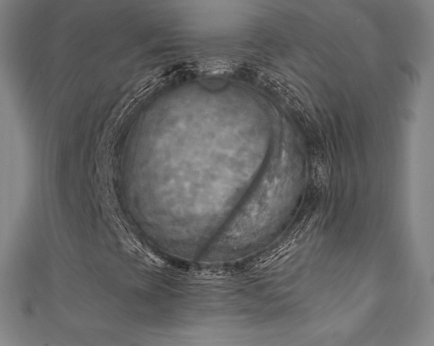 X0000111361393200907171154