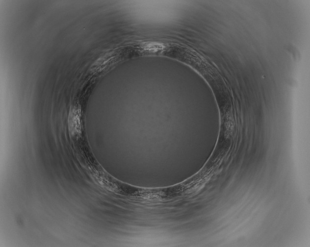 X0000111361394200907171154