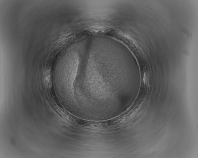 X0000111361396200907171154