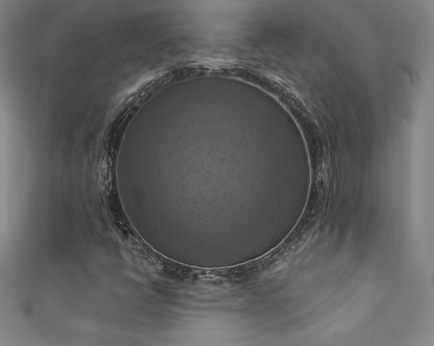 X0000111361398200907171154