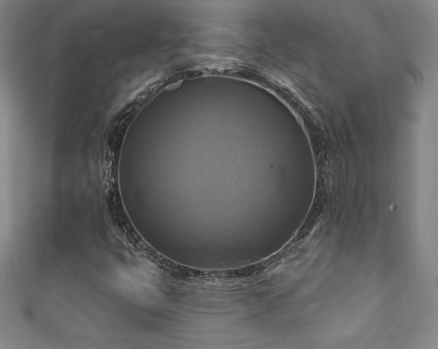 X0000111361399200907171154