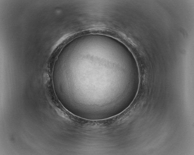 X0000111361400200907171154