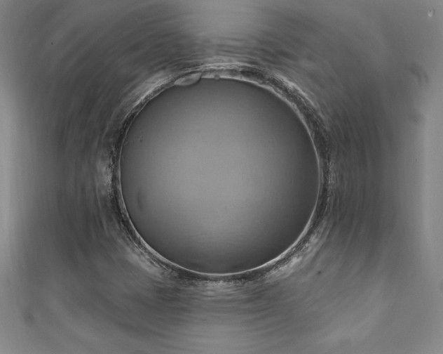 X0000111361401200907171154