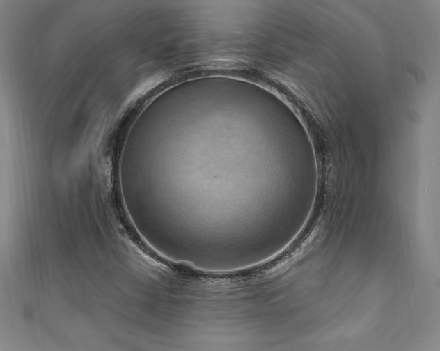 X0000111361402200907171154