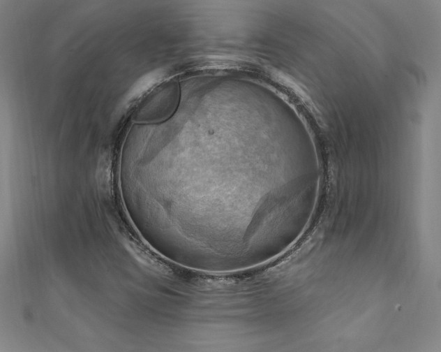 X0000111361403200907171154