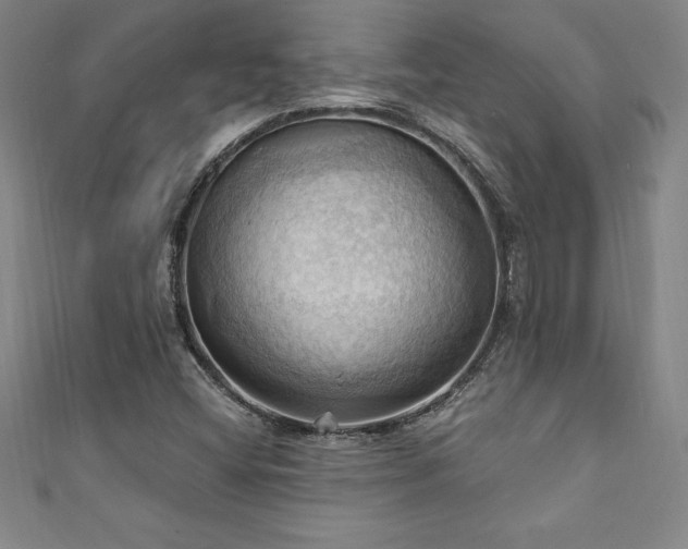 X0000111361404200907171154