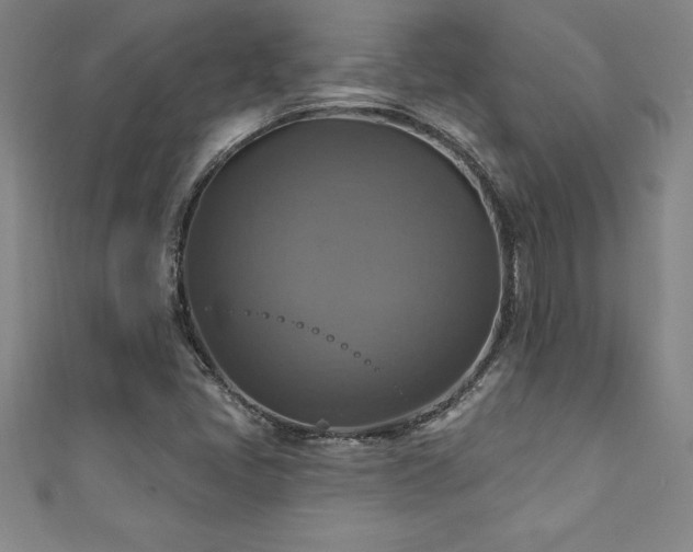 X0000111361405200907171154