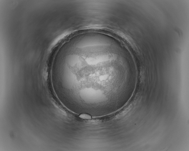 X0000111361406200907171154