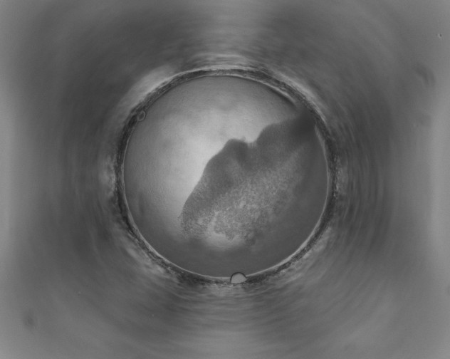 X0000111361407200907171154