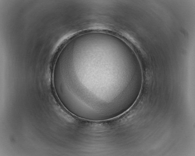 X0000111361408200907171154
