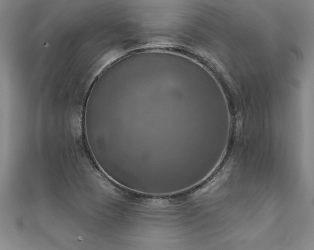 X0000111361409200907171154