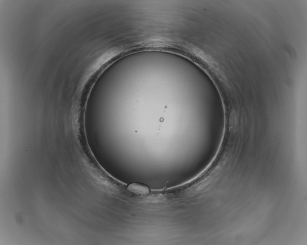 X0000111361410200907171154